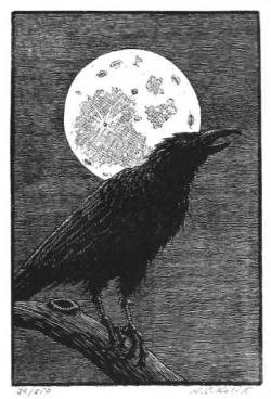 Night Crow