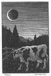 New Moon