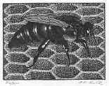 Queen Bee