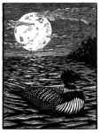 Loon `n Moon