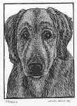 Rufus